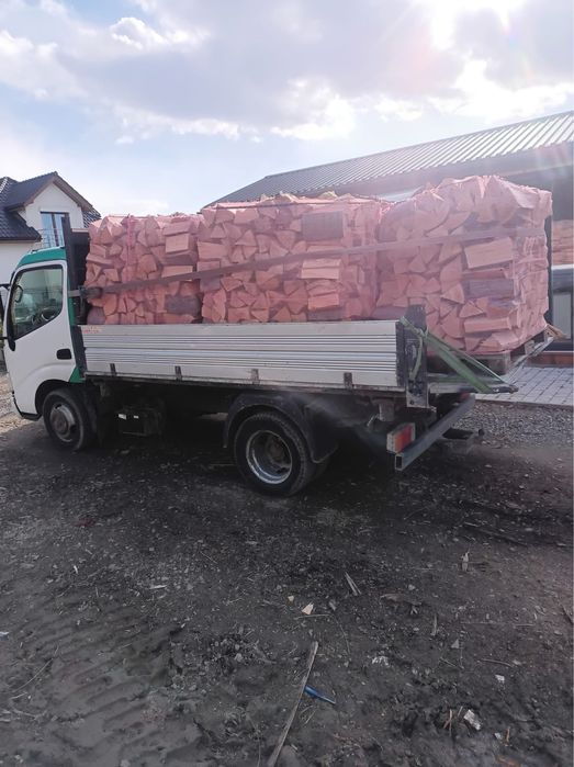 Wynajem mini koparki jcb 8014