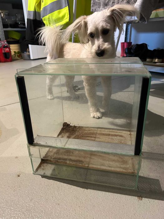 Terrarium 160x60x100