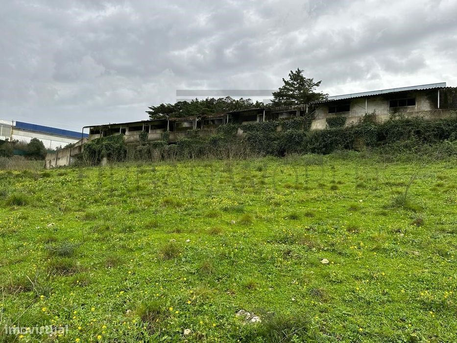 Terreno Industrial, c/ 11.775 m2, c/ Armazém licenciado com 1.150 m...