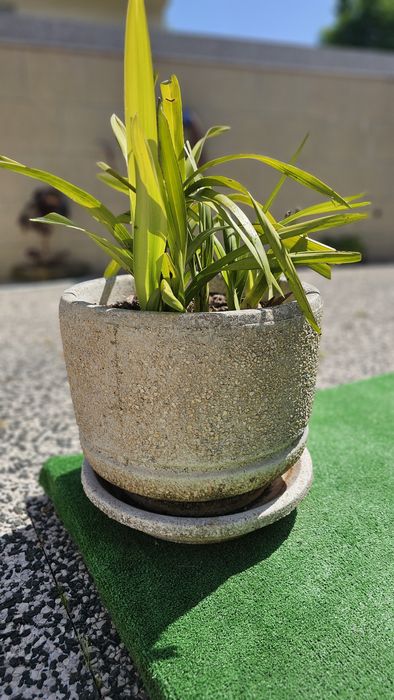 Vaso em pedra de jardim