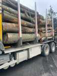 Drewno Bukowe z transportem