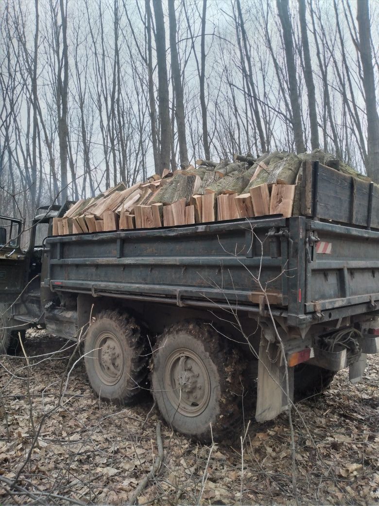 Дрова паливні твердої породи