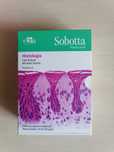 fiszki histologia sobotta flashcards medycyna