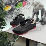 Кросівки шкіряні Ecco Biom Waterproof 40 розмір 3898
