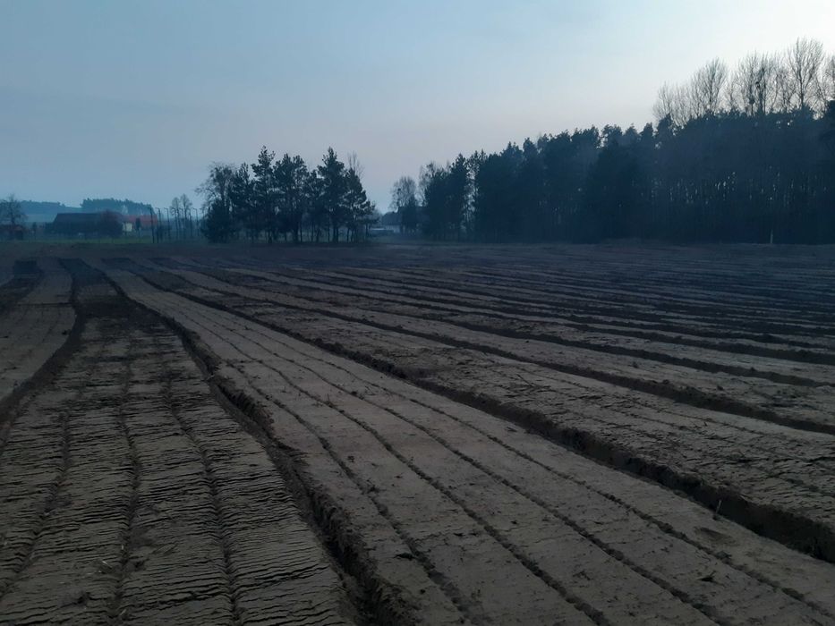 Czyszczenie działek, mulczowanie teren, mulczer lesny wglebny