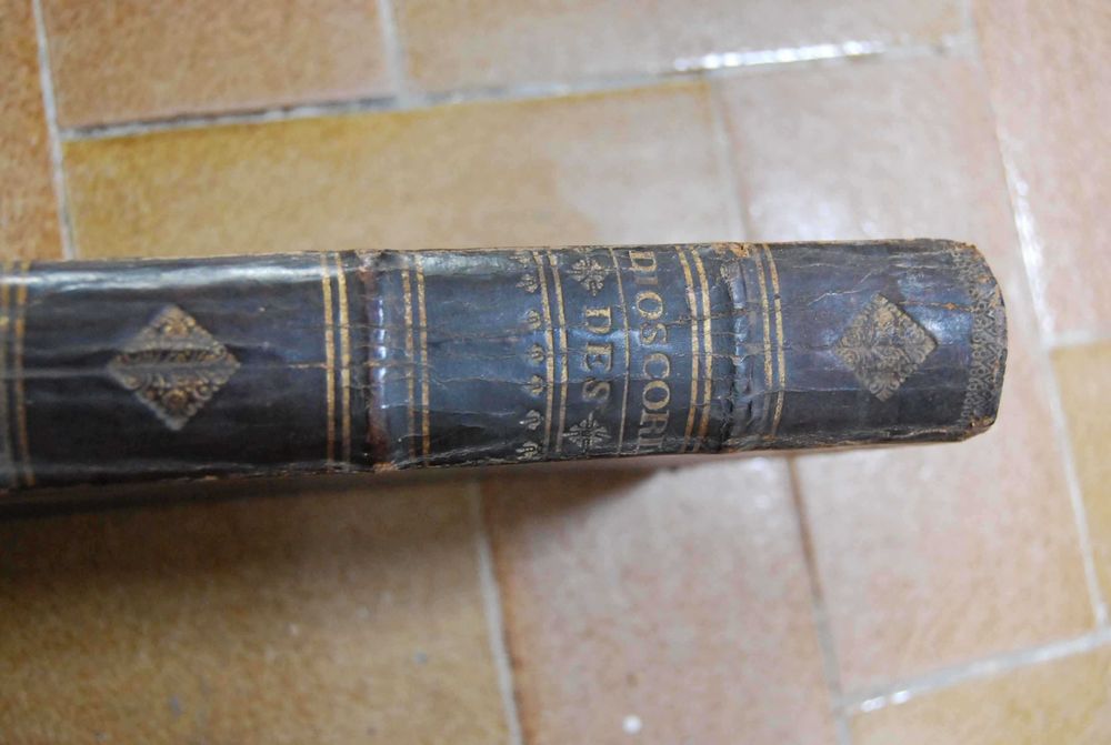 Dioscorides Anarzabeo - Andres de Laguna 1555