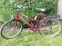 Rower Arkus Forester CTB