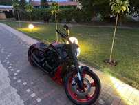 Harley-Davidson V-Rod Night Rod Harley Davidson V Rod Custom