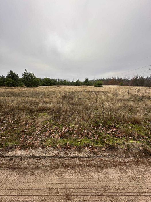 Ділянка поруч з лісом під модульний будинок!