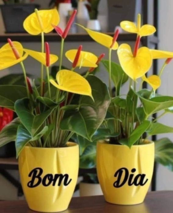 lVestido de primeira comunhão