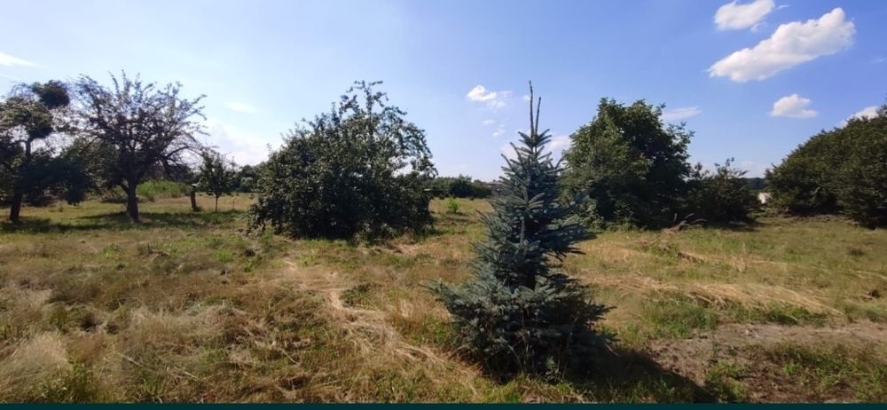 * Działka Lyski 1277 luźna zabudowa domów