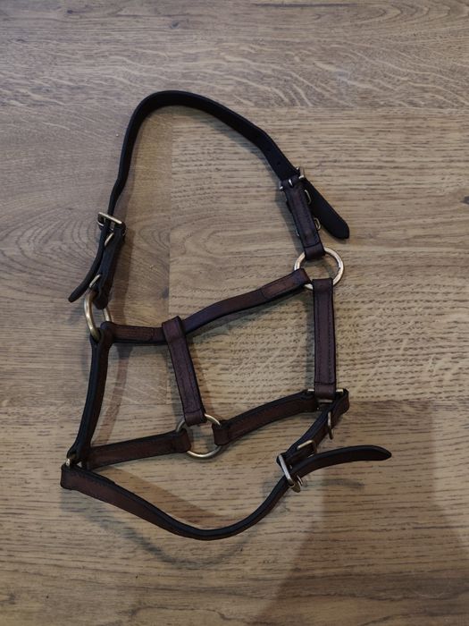 Kantar źrebięcy skórzany