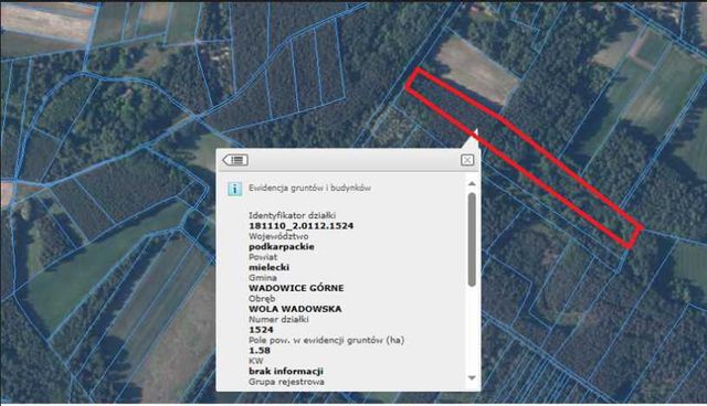 Sprzedam las sosnowy - 1,58ha - powiat mielecki