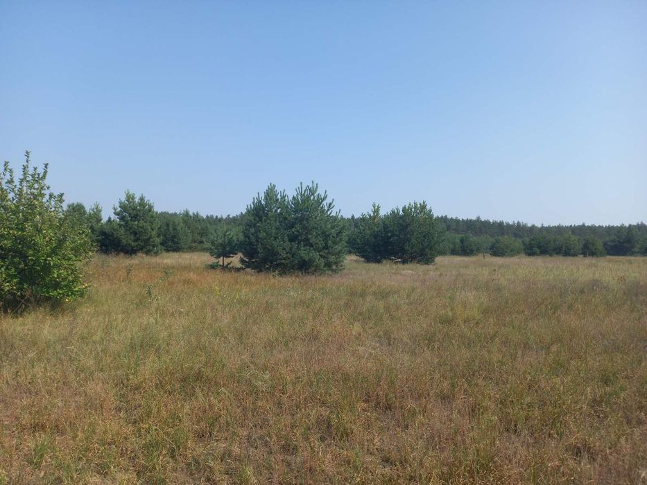 Ділянка правильної форми