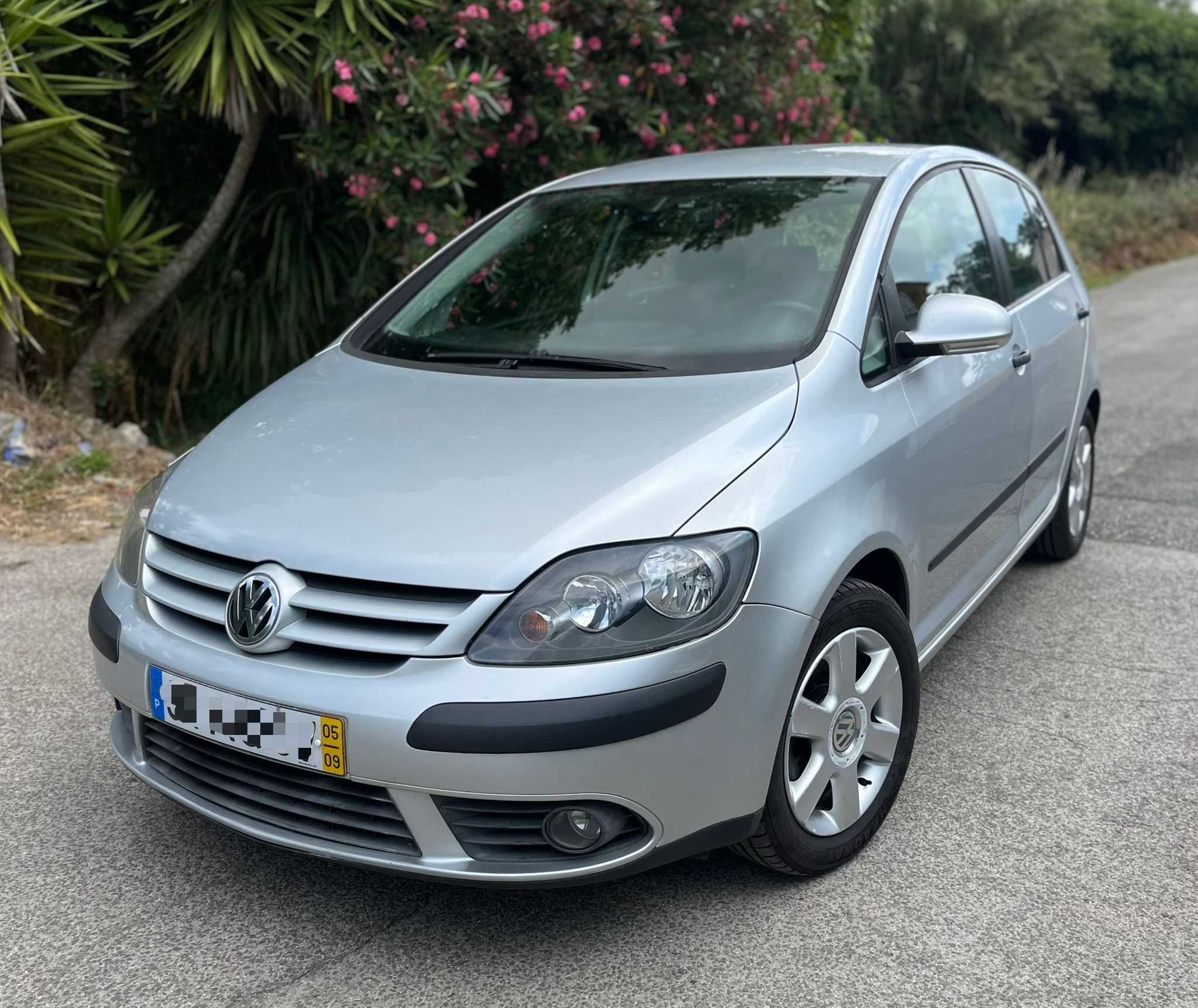 Volkswagen Golf Plus 2.0 TDI Estimado