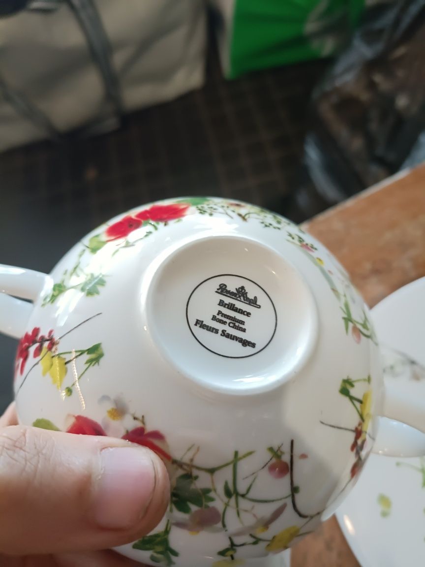 Bulionówka z talerzykiem Rosenthal ,, Tajemniczy Ogród "