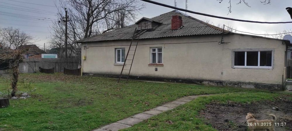 Дві двокімнатні квартири (обєднані)  і Магазин