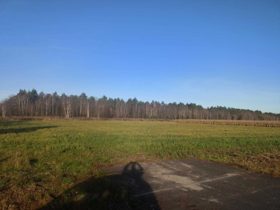 Las / dzialka lesna 9,186 hektara na sprzedaz , podkarpackie