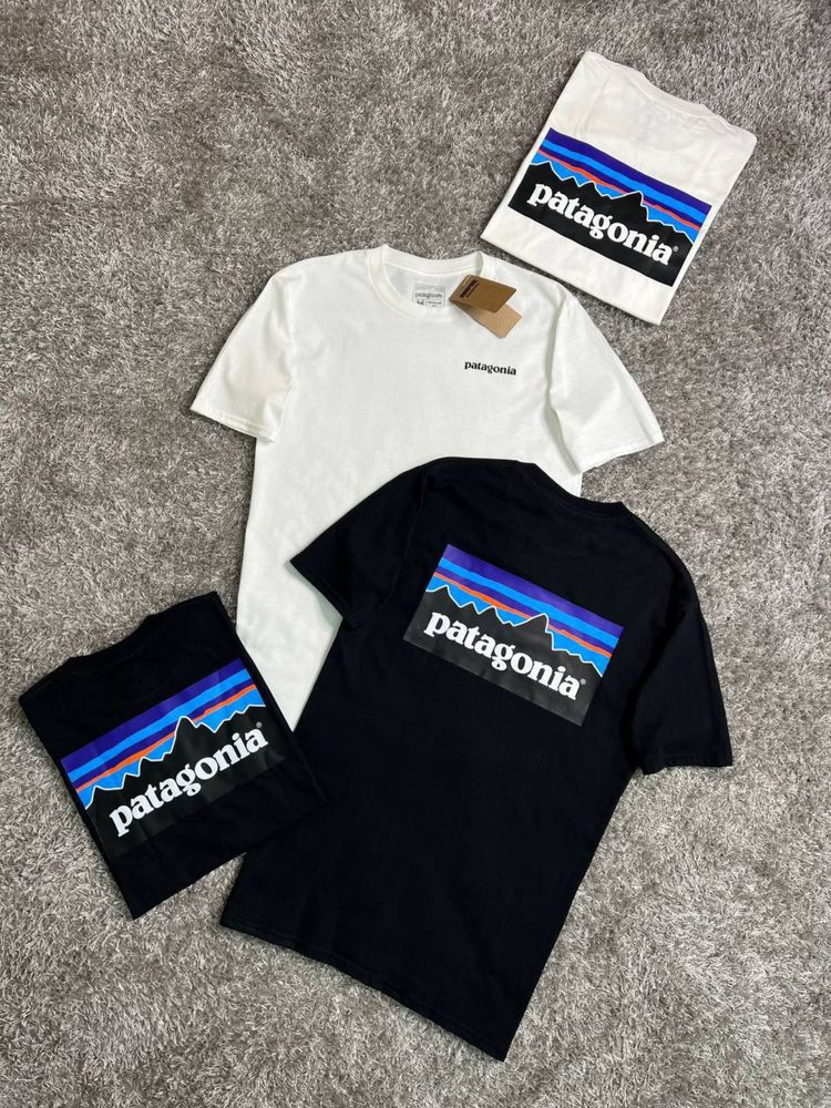 Футболки Patagonia Big Logo на спині