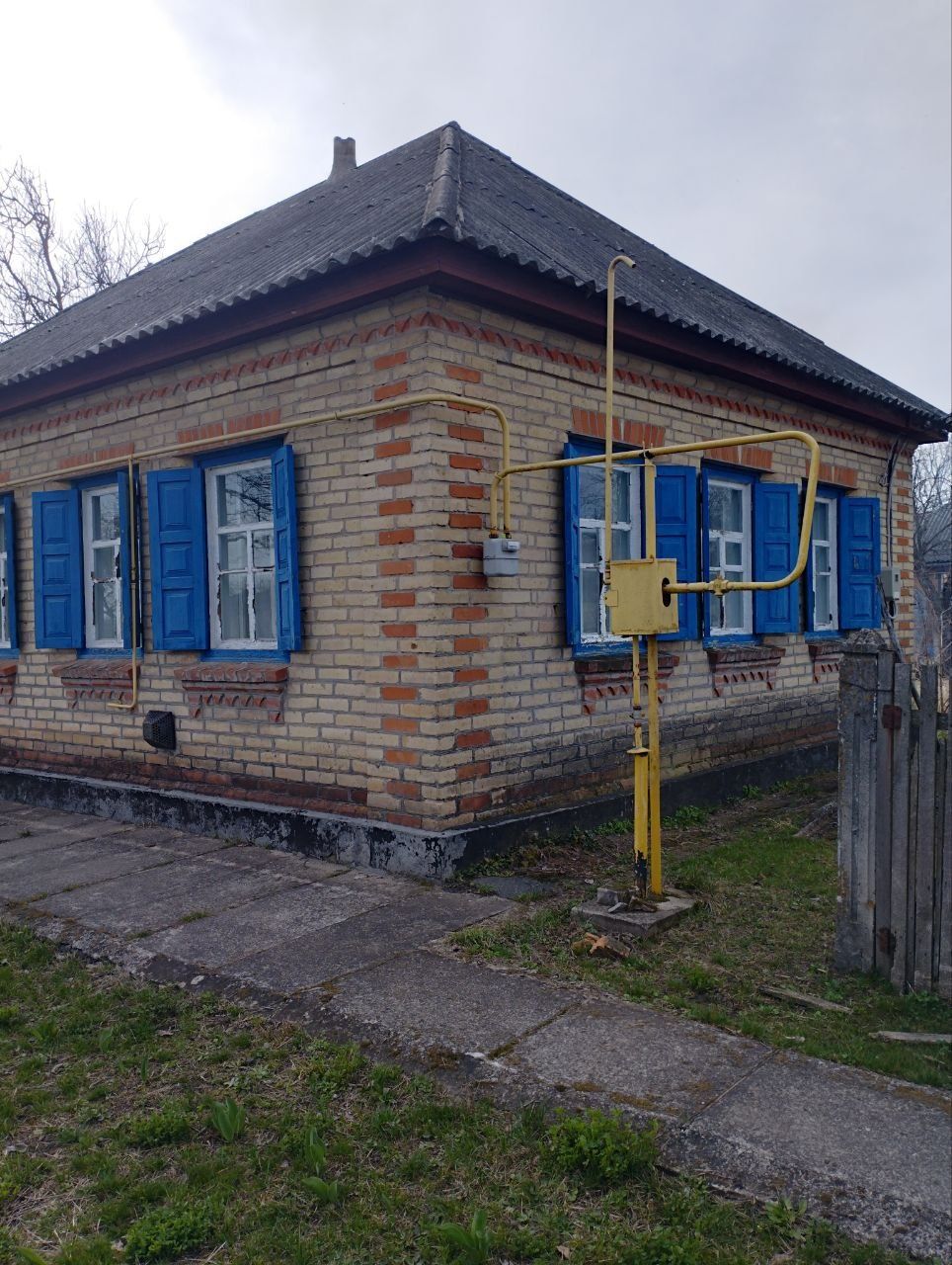 Продам будинок в с. Боровиця