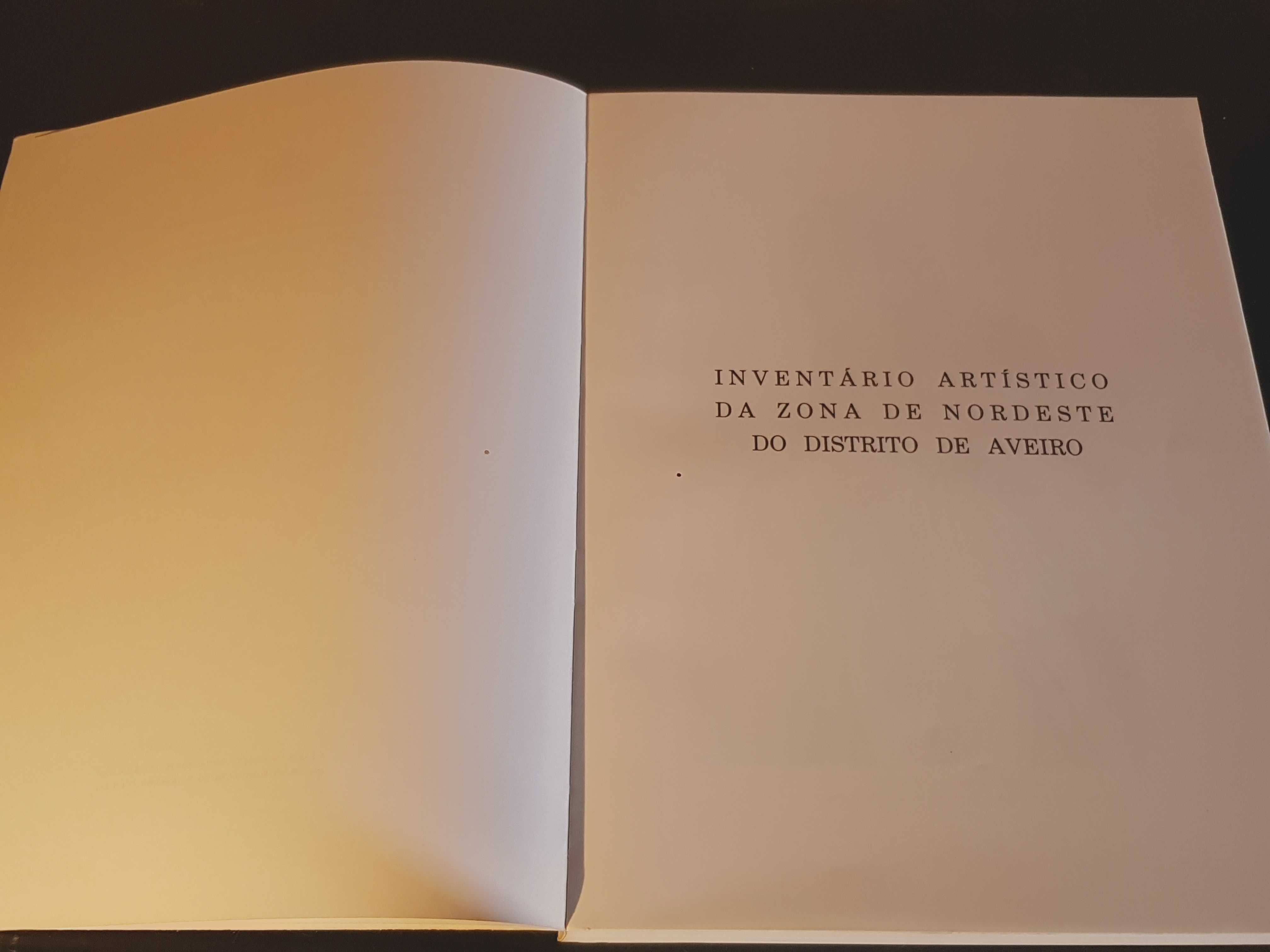 Inventário Artístico de Portugal - Distrito de Aveiro Nordeste 1991 XI