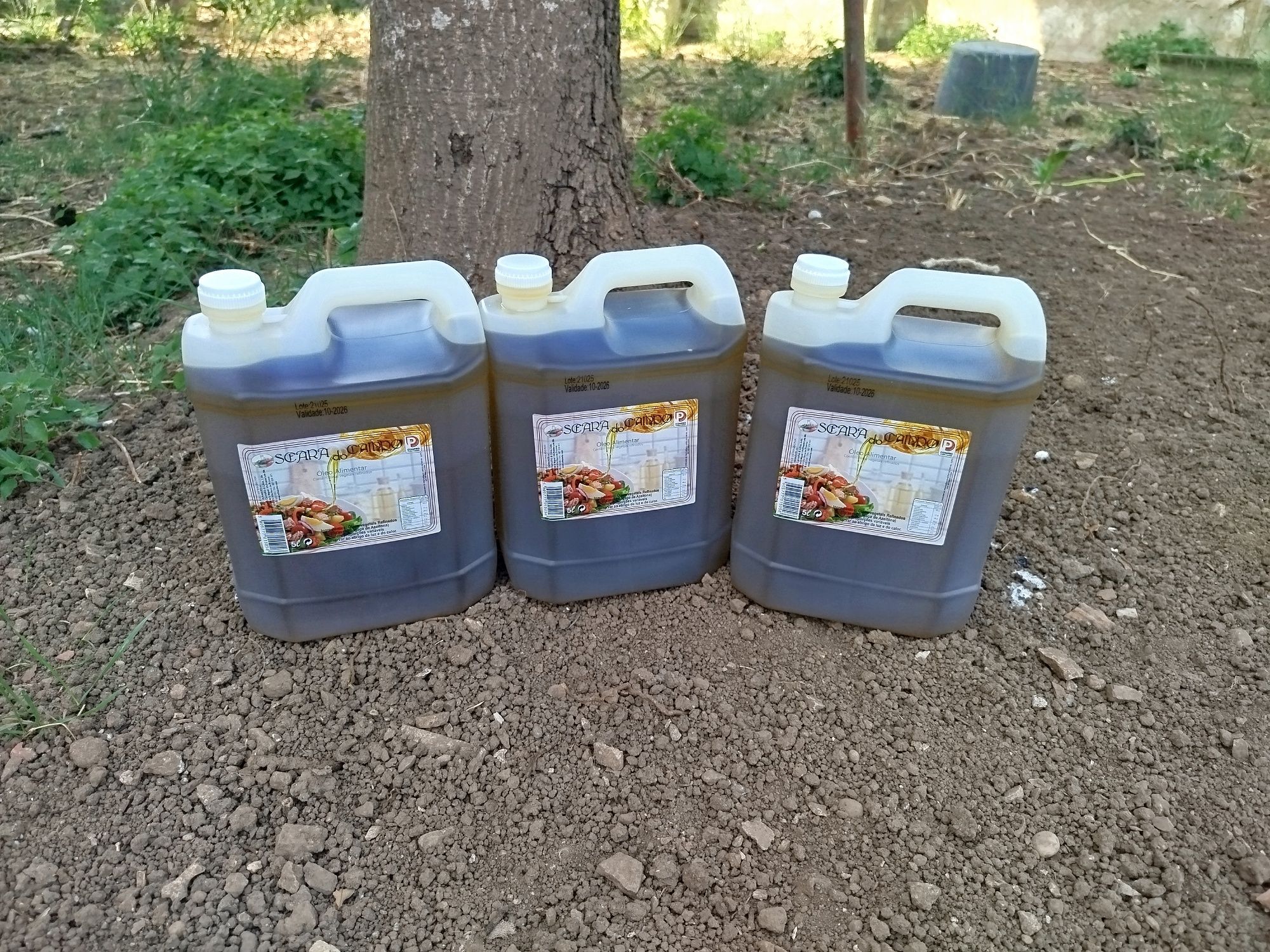 Azeite de tempero boa qualidade "óleo alimentar"