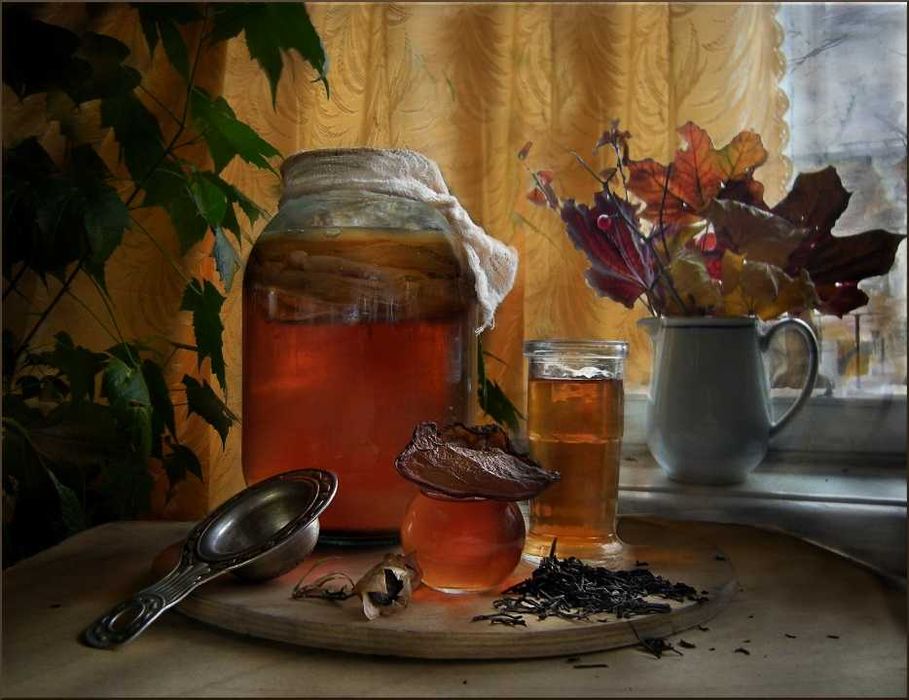 Гриб чайний ( комбуча)