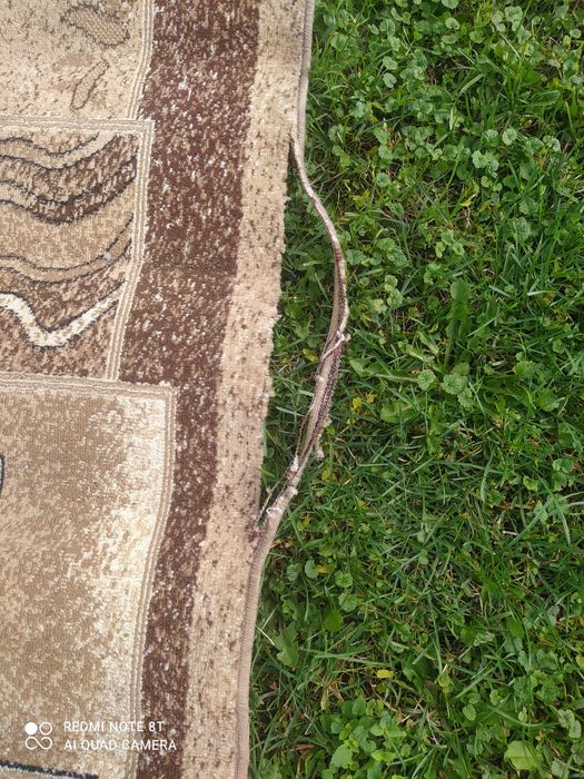 Коврик, килим доріжка