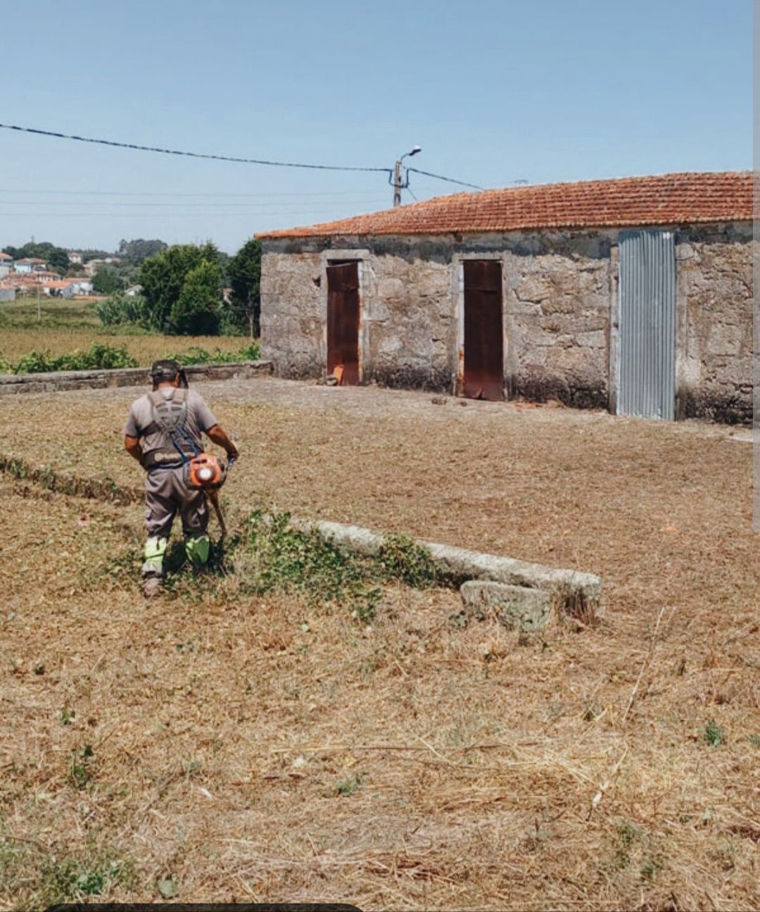 LimpezasPro     Serviços Limpeza Terrenos e Jardim