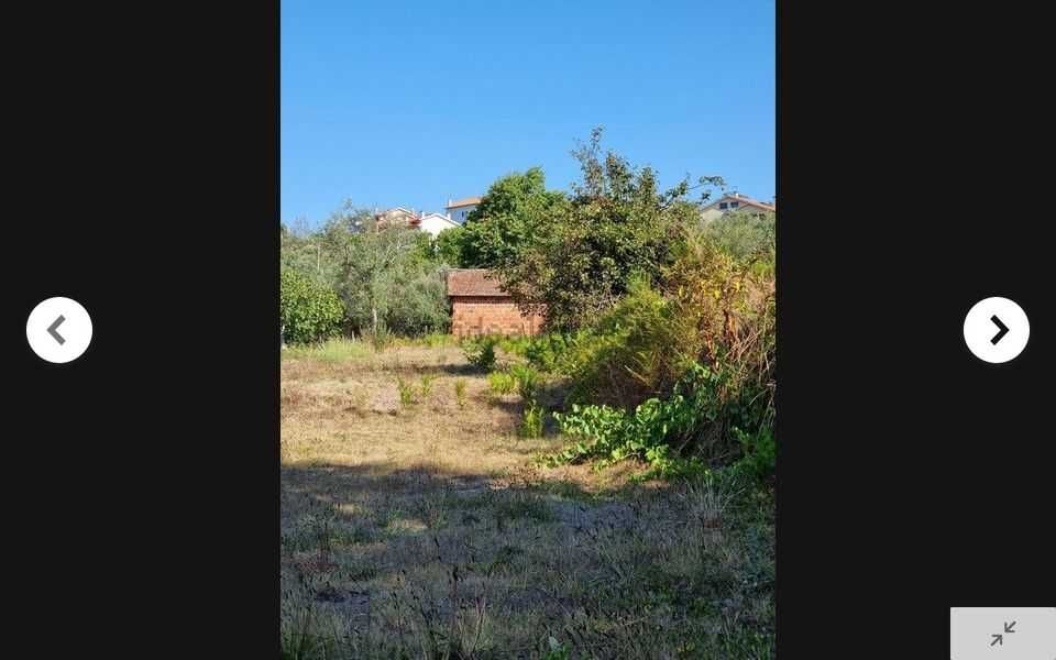 TERRENO 5.500m2 Parada de Gonta - Tondela