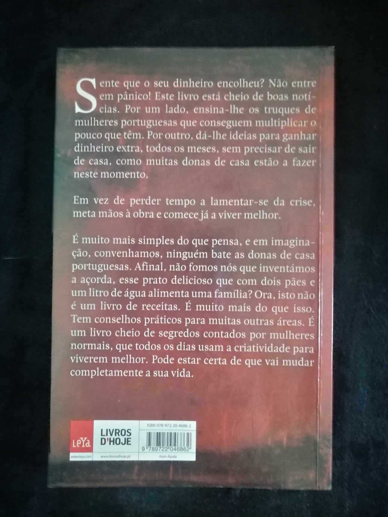 "Manual de Sobrevivência para Donas de Casa Desesperadas" M J Vieira