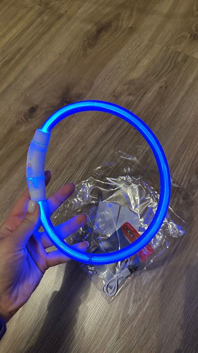 obroża świecąca dla psa