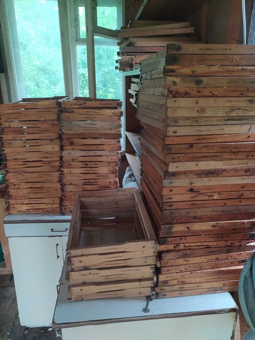 вулик український лежак дадан з бджолами і сам вулик, рамки