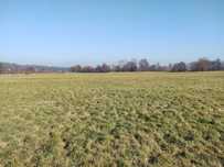 Łąka torfowa- działka rolna  2,37 ha