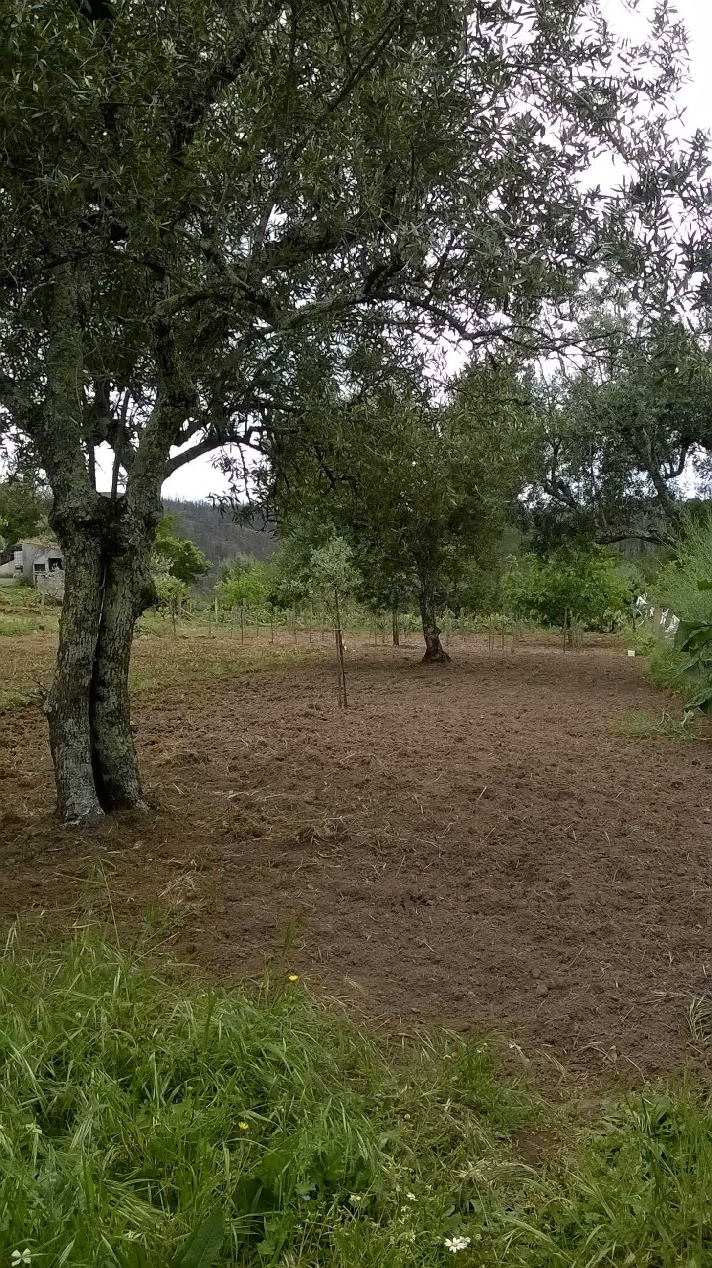 Terreno Rústico junto a povoação de Marmoural concelho Vila de Rei