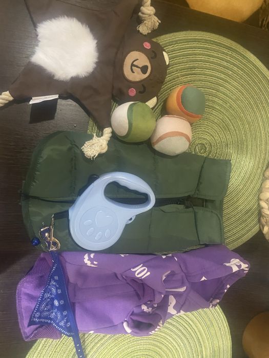 Нові речі для маленького песика