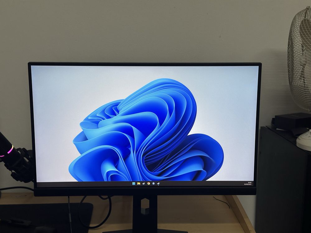 Monitor 240Hz MSI MAG251RX