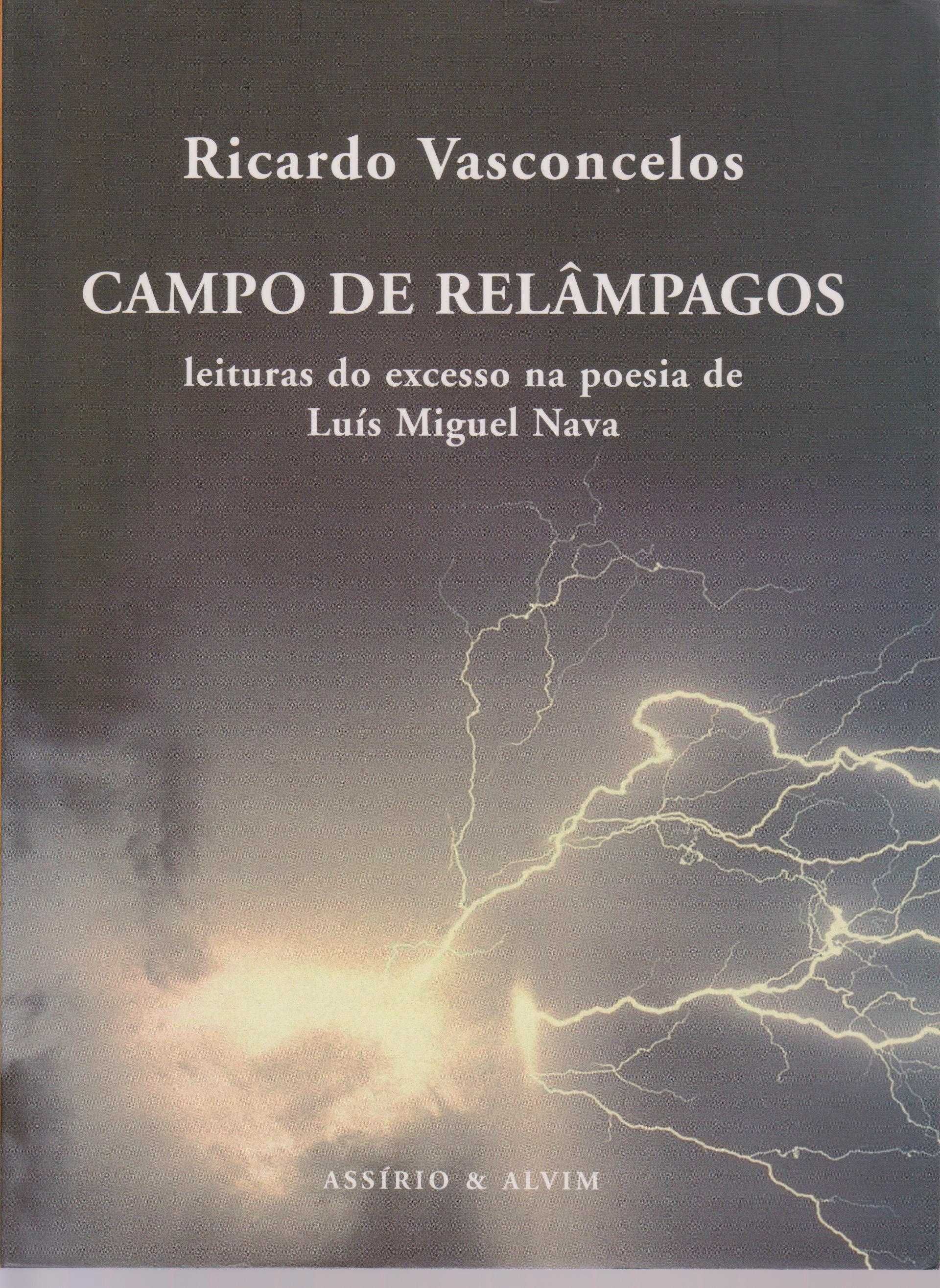 Campo de Relâmpagos. Leituras do excesso na poesia de Luís Miguel Nava