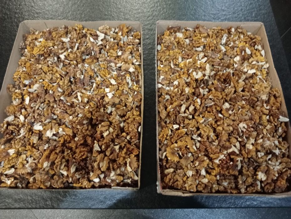 Orzechy włoskie łuskane