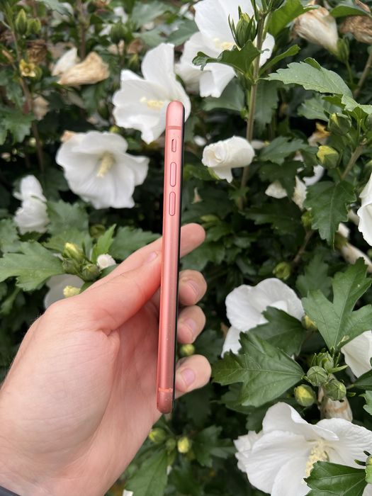 Розборка, запчастини Iphone Xr є чиста плата!!