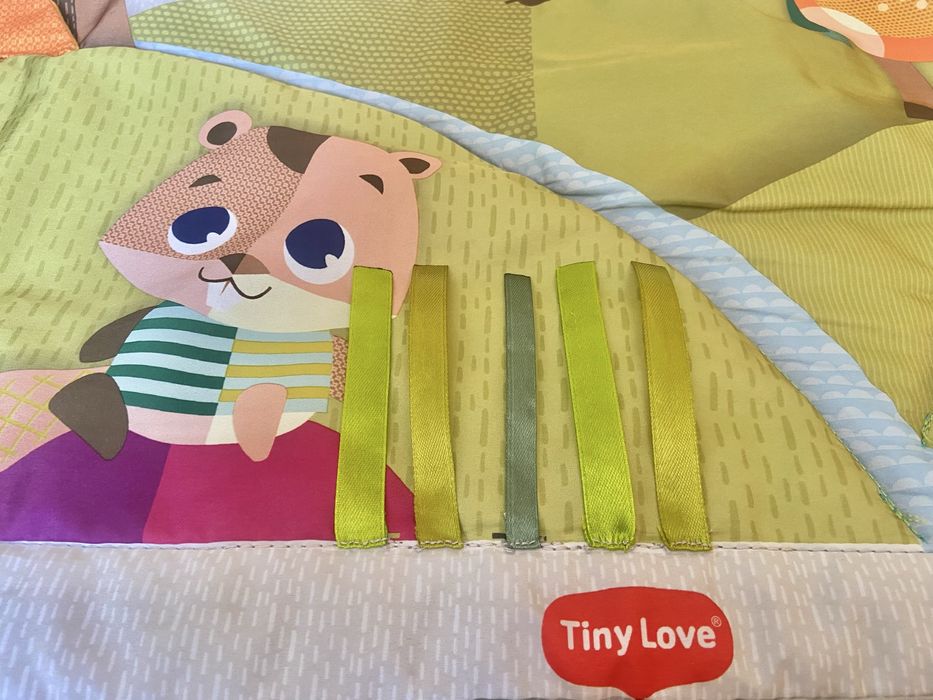 Розвиваючий килимок Tiny Love