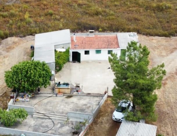 Quinta à venda no Salgueiro do Campo com 1,462hectares e moradia 107m2