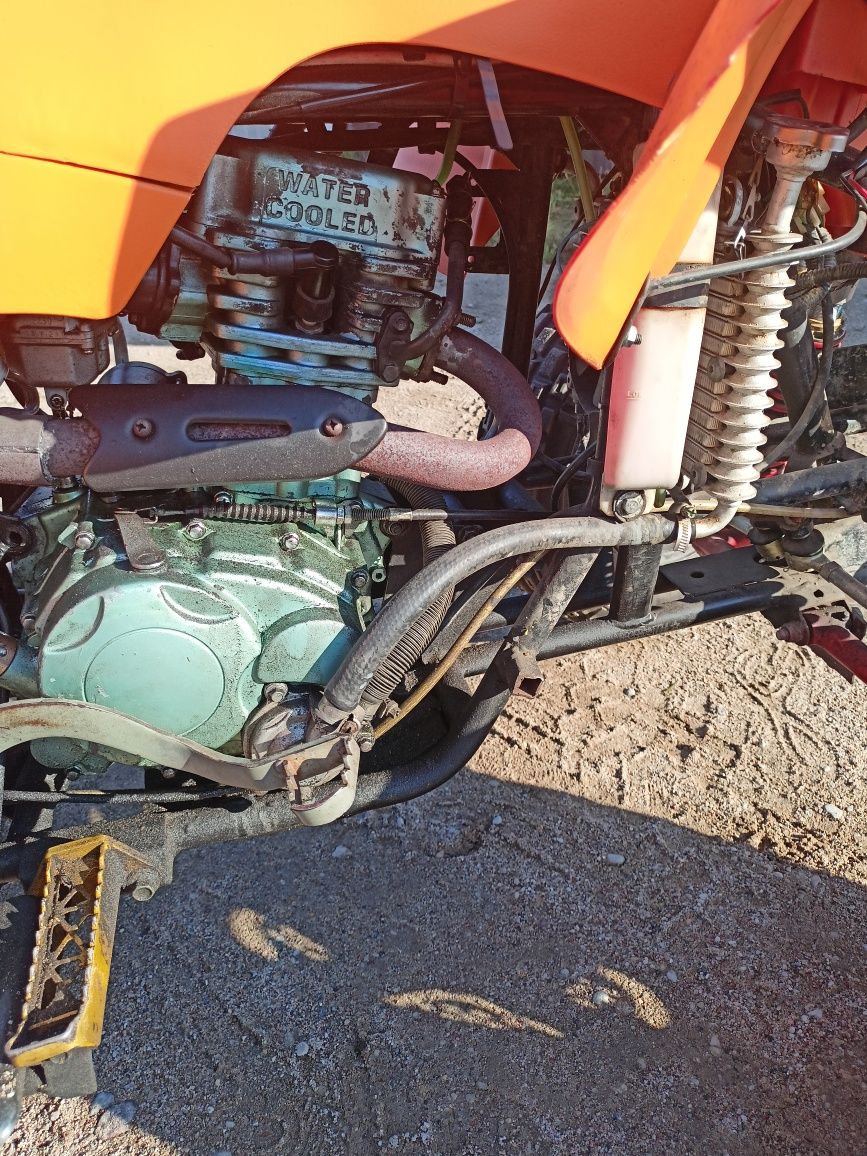Quad Bashan 250 cm