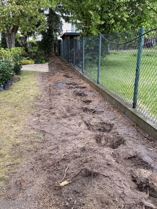 Usuwanie pni drzew karczowanie