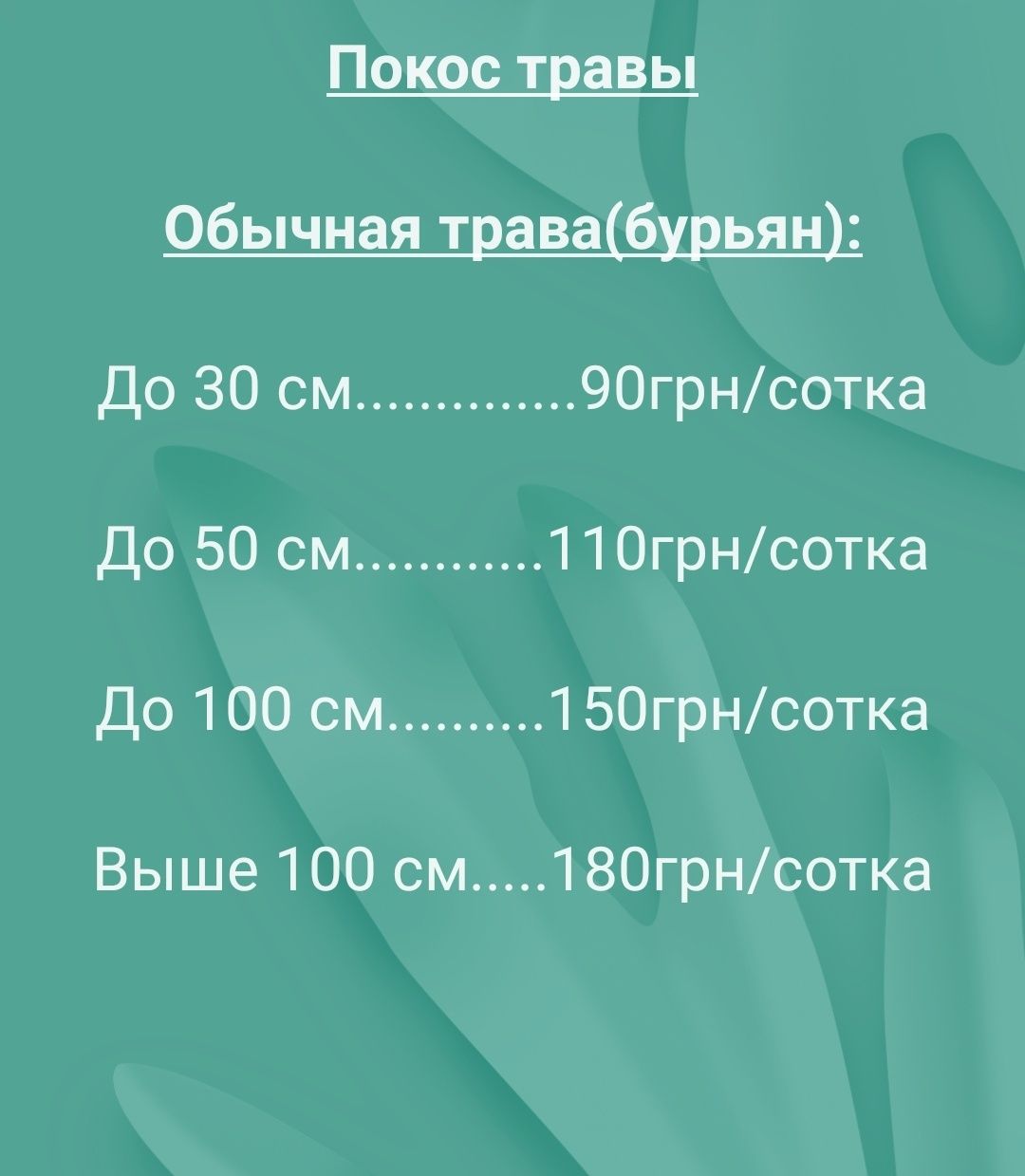 Покос травы бензокосой