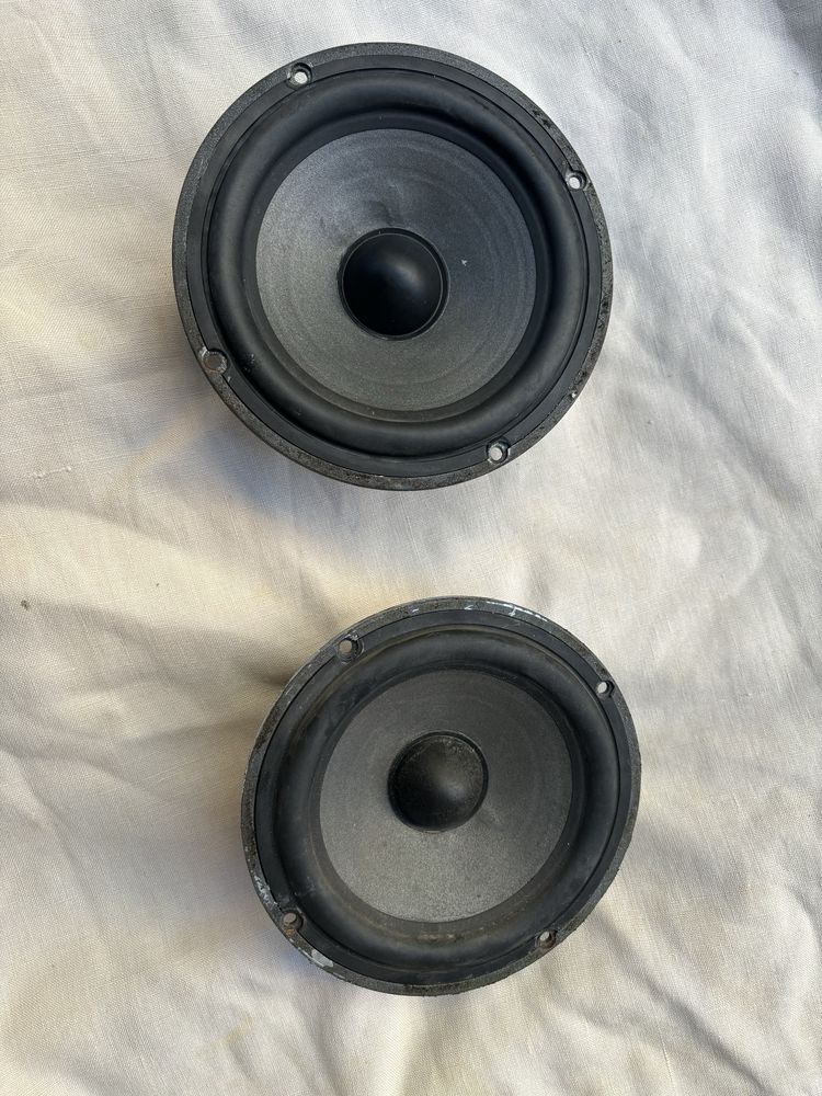 Focal polyglass 165 v2