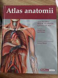 Atlas anatomii MedPharm