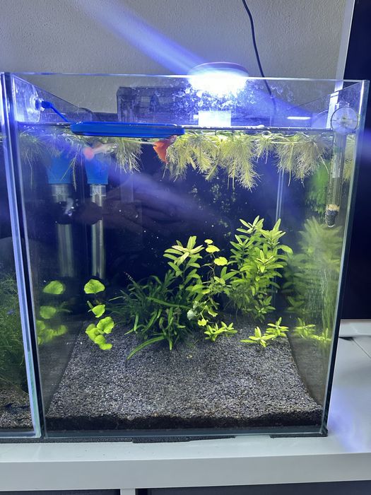 Cubo 30x30x35cm completo