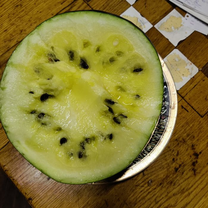 Маргаритки, розові з різними відтінками