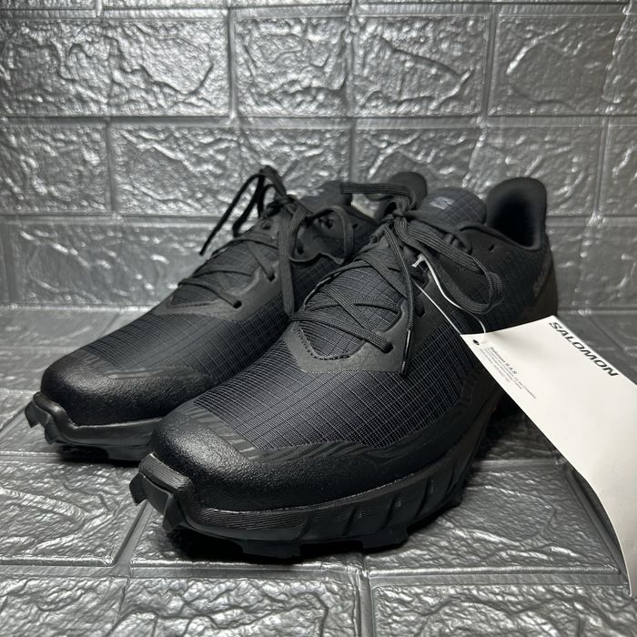 Чоловічі кросівки Salomon Alphacross 5 L47313100